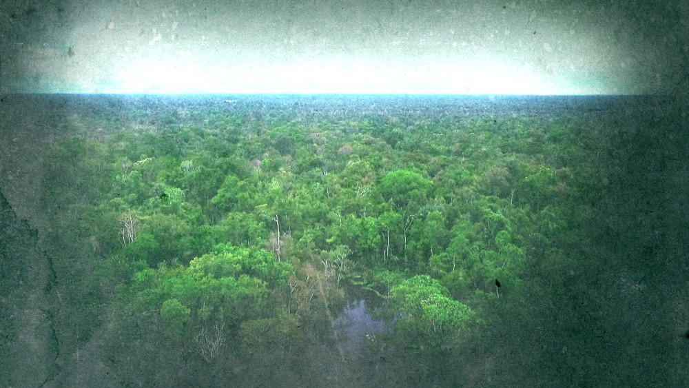 Desmatamento na Amazônia aumenta 88% em junho