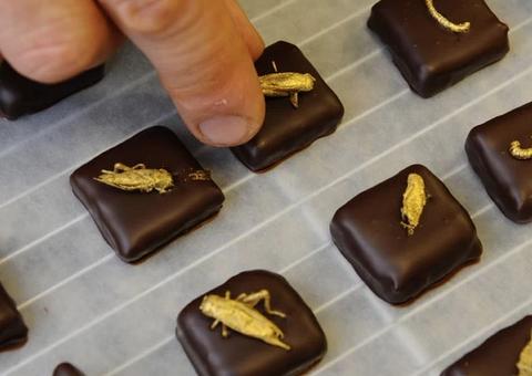 Chocolate com grilo e hot dog de banana serão comidas do futuro; veja as opções 