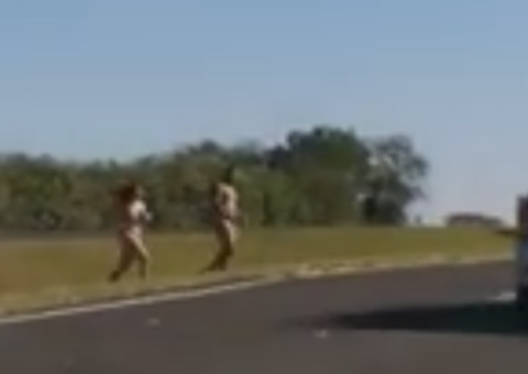 Vídeo: Casal é resgatado nu em rodovia