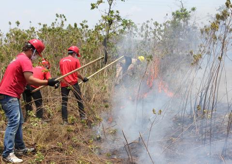 Amazonas tem redução de 6% no número de focos de calor, no primeiro semestre