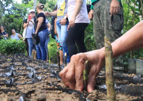 Minicurso ensina noções básicas de paisagismo e jardinagem em Manaus