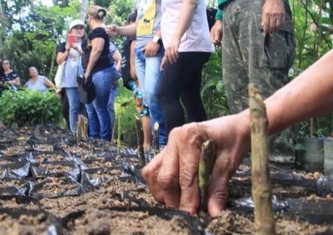 Minicurso ensina noções básicas de paisagismo e jardinagem em Manaus