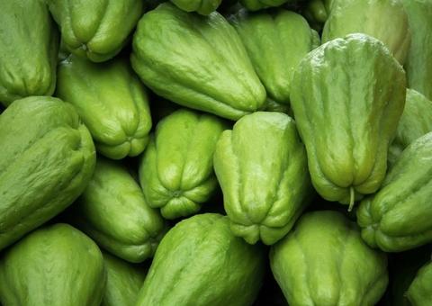 Chuchu regula pressão arterial e melhora pele; conheça mais benefícios 