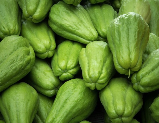 Chuchu regula pressão arterial e melhora pele; conheça mais benefícios 