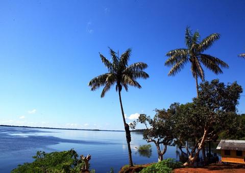Amazonastur e Sebrae levantam potencial turístico de Anavilhanas