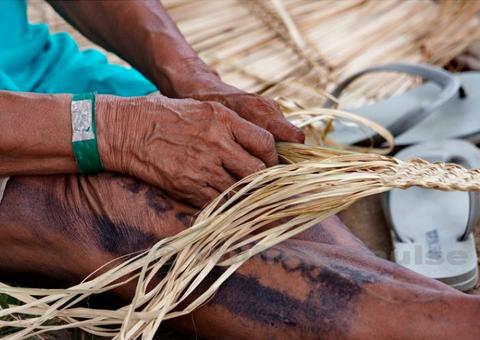 Fuam e FEI fecham parceria para tratar hanseníase e DSTs em indígenas no Amazonas