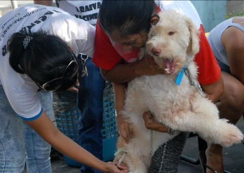 Inscrições em processo seletivo com 250 vagas, terminam na próxima sexta-feira em Manaus