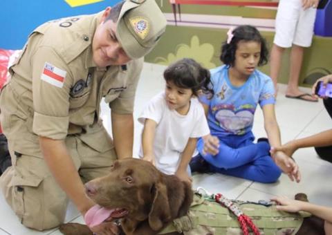 Terapia com auxílio de cães causa euforia em crianças em Manaus 