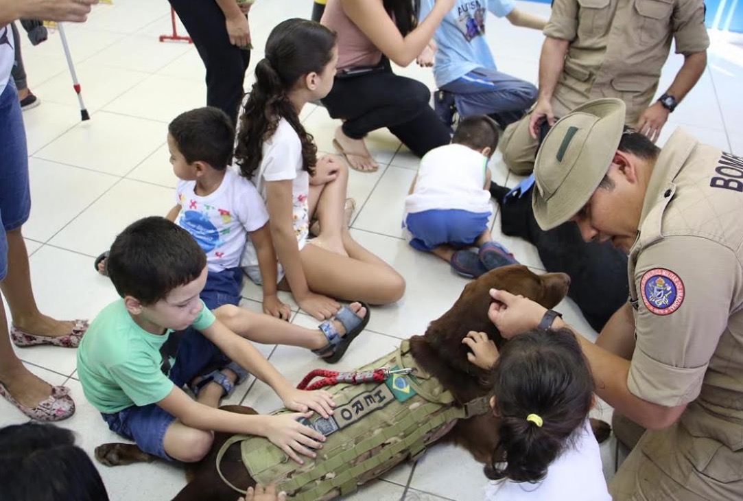 Terapia com auxílio de cães causa euforia em crianças em Manaus 