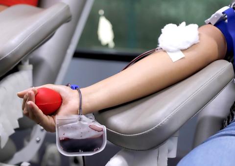 Após coleta, doadores de sangue ganharão mudas de plantas em Manaus