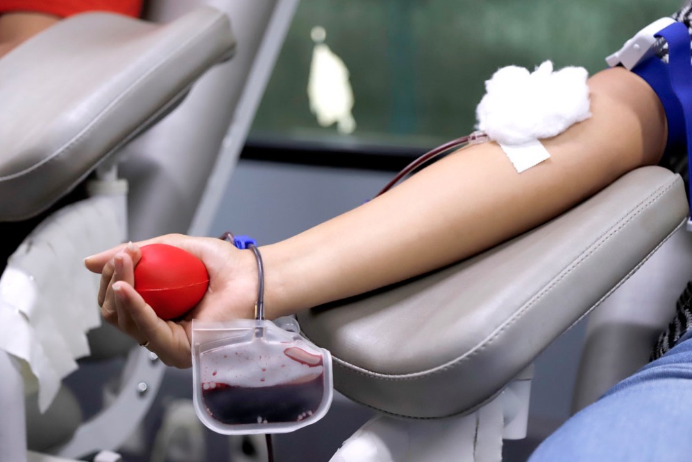 Após coleta, doadores de sangue ganharão mudas de plantas em Manaus