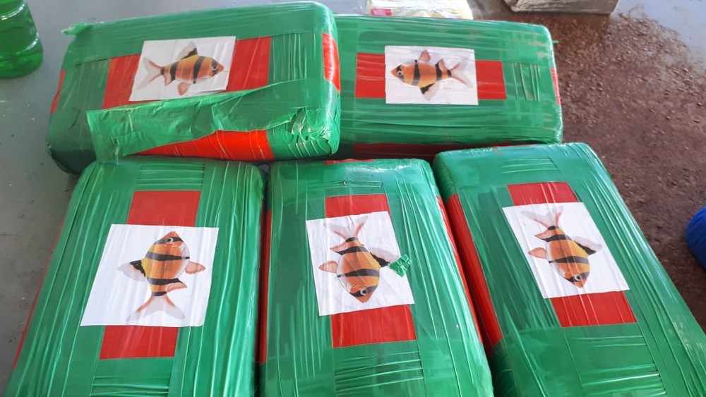 Polícia Federal prende duas pessoas e apreende cocaína em embarcação no Amazonas