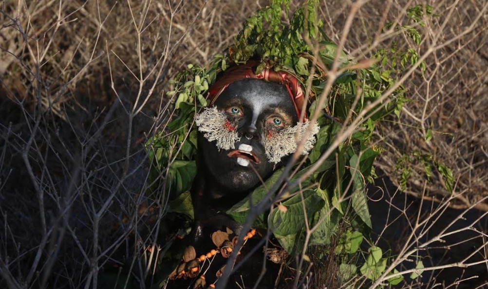 Exposições ocupam a cidade durante Virada Sustentável Manaus