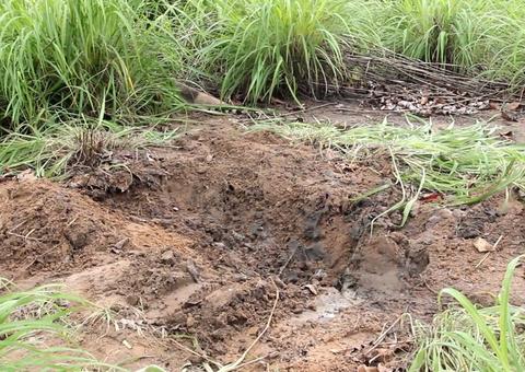 Presa, dupla confessa que matou e decapitou homem que estava desaparecido no Amazonas
