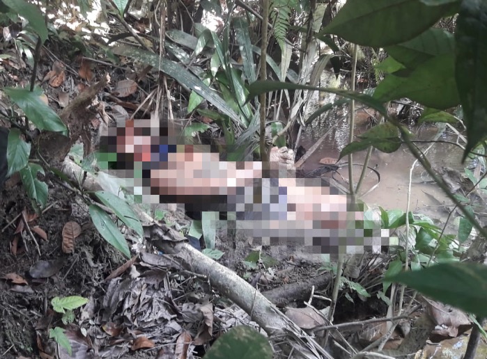 Amordaçada e com 3 tiros na cabeça, mulher é encontrada em igarapé de Manaus