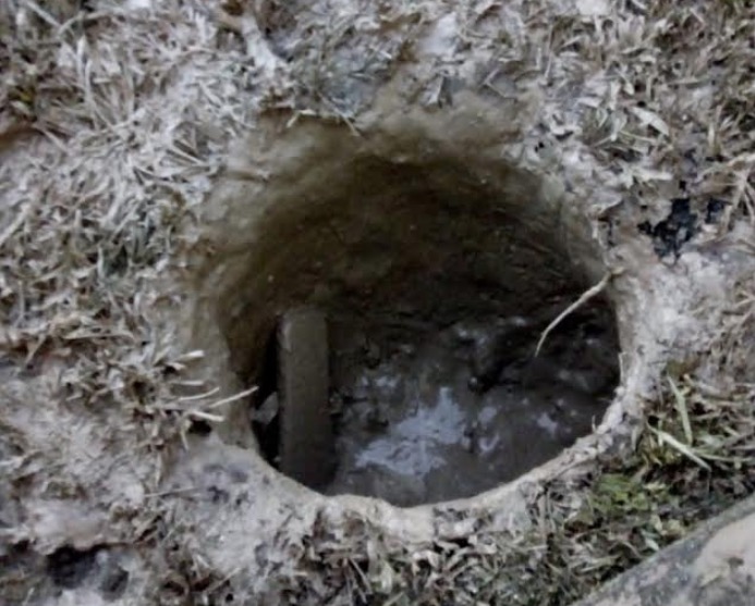  Detentos fogem por fossa de delegacia no Amazonas