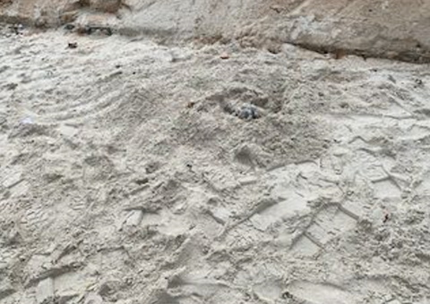 Corpo de mulher é encontrado por populares enterrado em praia de Maceió