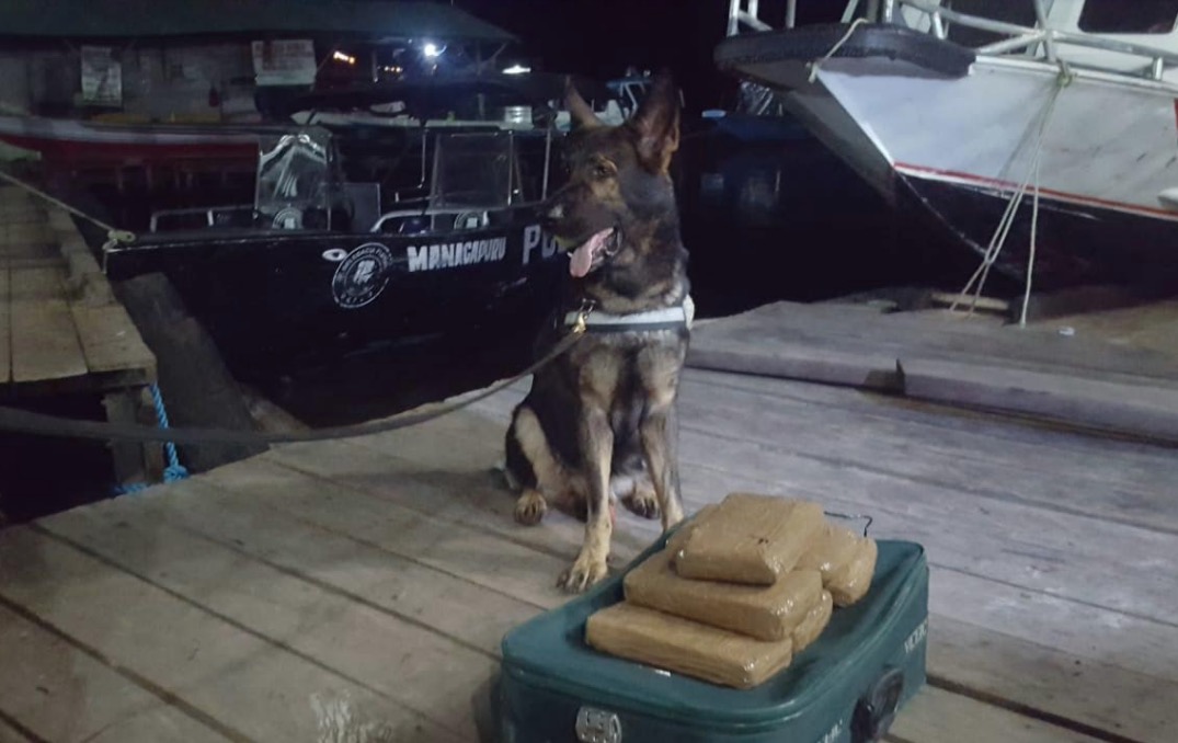 Seis quilos de maconha são apreendidos em barco no Amazonas