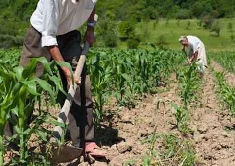 Aposentadoria rural e pensão podem ser acumuladas, determina Justiça