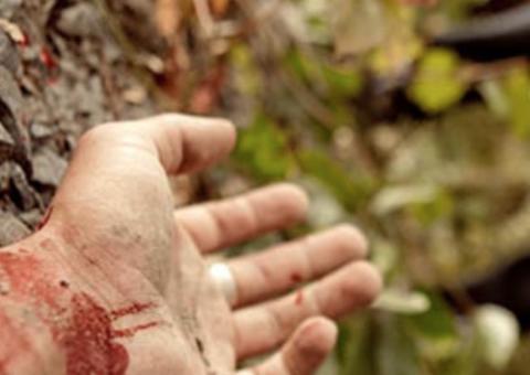 Brasil é 4º país que mais mata ativistas ambientais, diz ONG