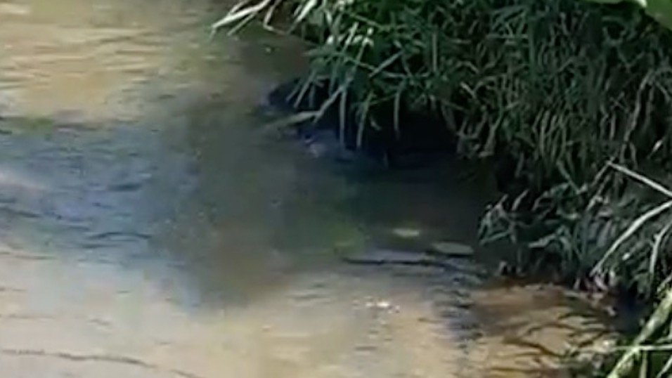 Corpo de adolescente é encontrado boiando em igarapé de Manaus