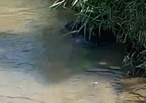 Corpo de adolescente é encontrado boiando em igarapé de Manaus