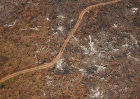 MPF pede explicações do Ipaam sobre desmatamento de 1200 hectares no Amazonas