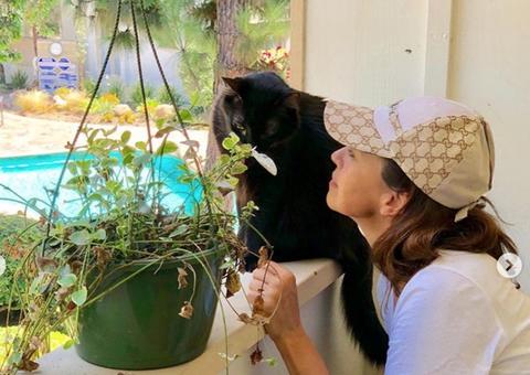 Daniela Escobar quase amputa mão após mordida de gato e mostra foto