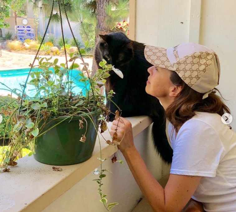 Daniela Escobar quase amputa mão após mordida de gato e mostra foto