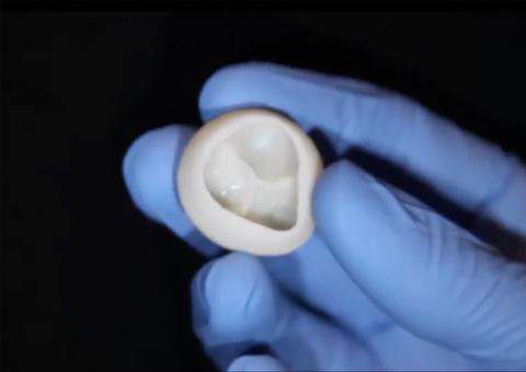 Cientistas dos EUA imprimem válvula de coração 3D feita de colágeno