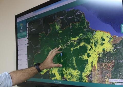 Desmatamento e queimadas levam o Amazonas a decretar situação de emergência 