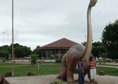 MPF quer atendimento prioritário às vítimas de violência sexual no Amazonas