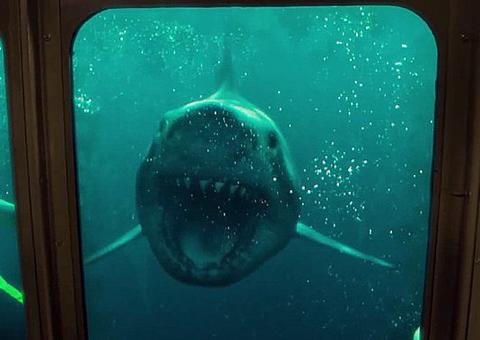 Tubarões atacam no novo trailer de Medo Profundo 2; vem ver