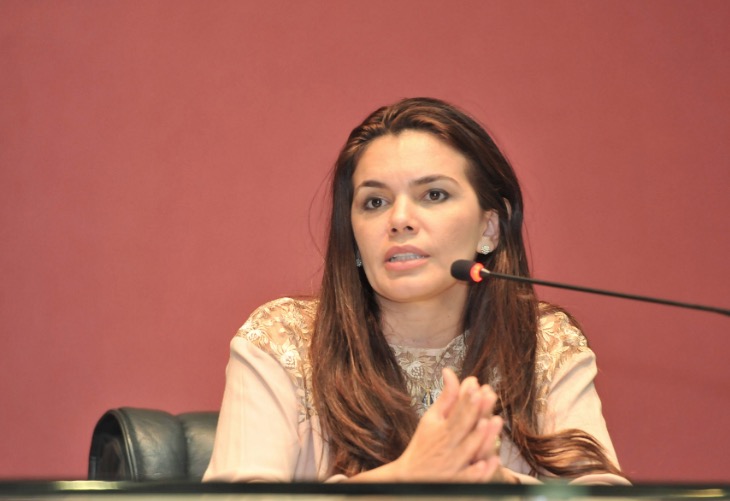 Relatora de CPI fala em alinhamento de preços dos combustíveis, mas não apresenta relatório