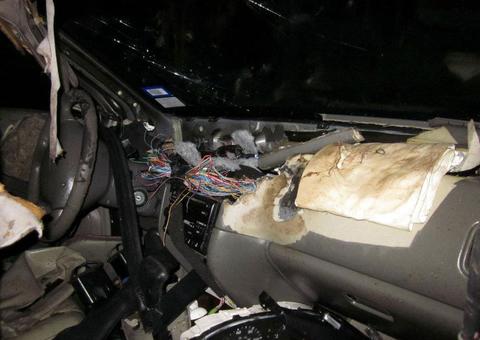 Urso fica preso dentro de carro e destrói tudo; veja fotos