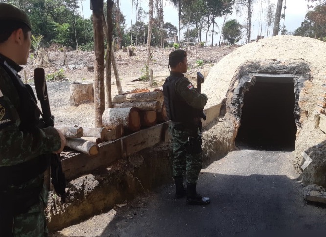 Forno clandestino de carvão é encontrado em área verde desmatada de Manaus 