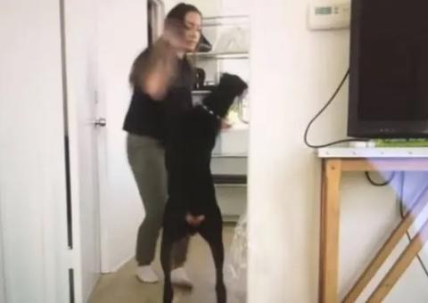 Vídeo mostra youtuber agredindo cachorro em bastidores de gravação 'fofa'