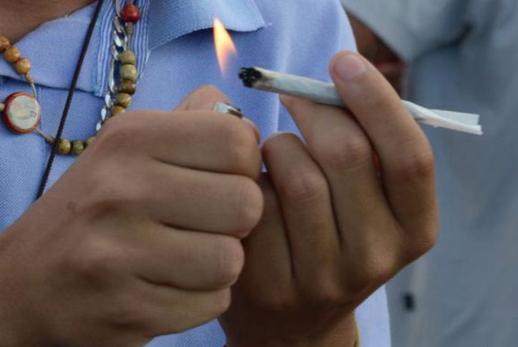 Fiocruz: 7,7% dos brasileiros usaram maconha pelo menos uma vez