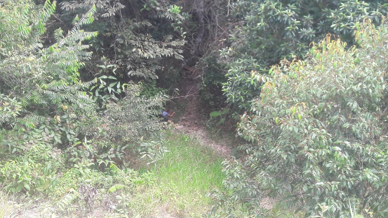 Corpo com olho arrancado é encontrado em matagal de Manaus 