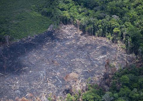 Desmatamento em alta faz Alemanha suspender financiamento de projetos na Amazônia