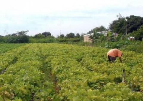 Começa hoje prazo para entrega da declaração de propriedade rural