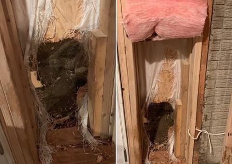 Urso invade casa e quebra a parede para sair nos EUA