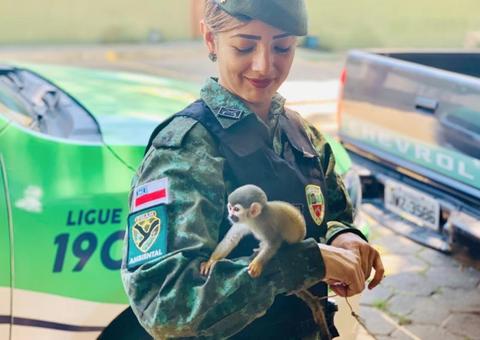 Policiais resgatam filhote de macaco-de-cheiro em Manaus  