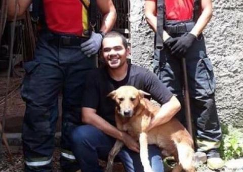 ONG ‘Um Olhar Que Fala’ busca retirar animais das ruas encontrar lar responsável