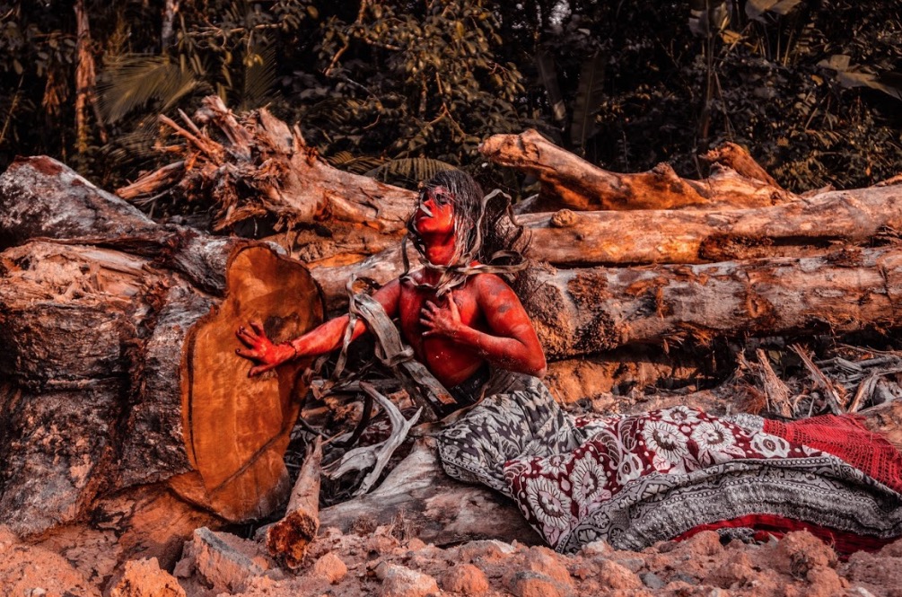 A Última Floresta: Série fotográfica retrata desmatamento da Amazônia