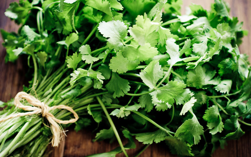 Folha do cheiro-verde limpa o sangue, controla ansiedade e diabetes. Veja 10 benefícios