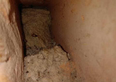 Presas constroem túnel para fuga, mas são flagradas em revista surpresa