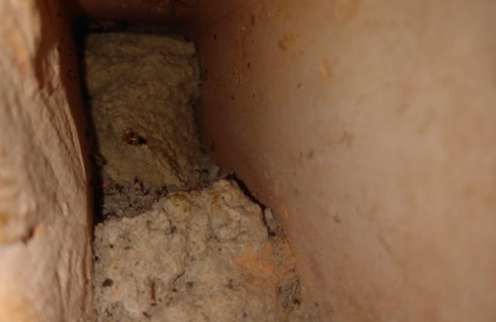 Presas constroem túnel para fuga, mas são flagradas em revista surpresa