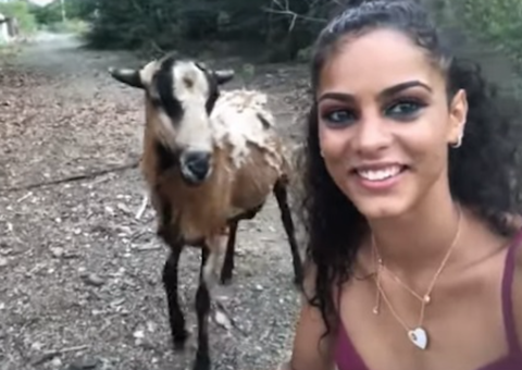 Vídeo: Mulher leva cabeçada de bode ao tentar fazer selfie 