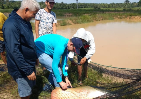 Política de preço do pirarucu pode ser mudada pela Conab no Amazonas